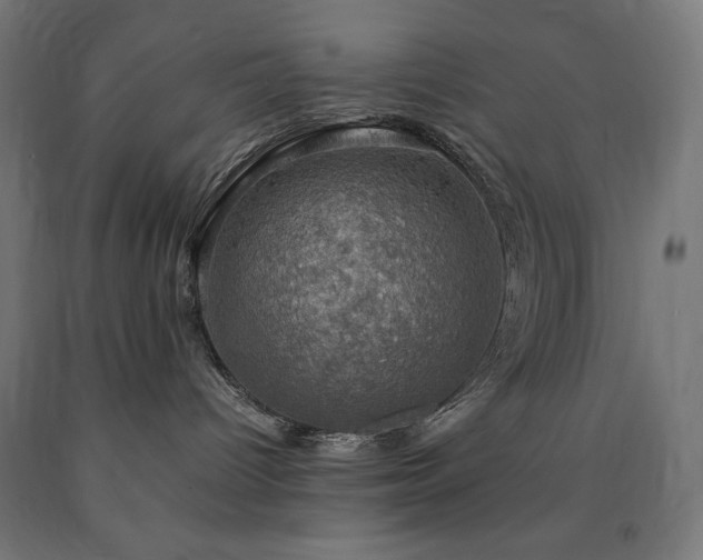 X0000091010096200708021558