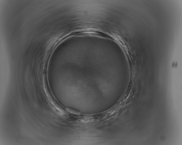 X0000091010097200708021557