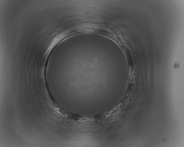X0000091010099200708021557