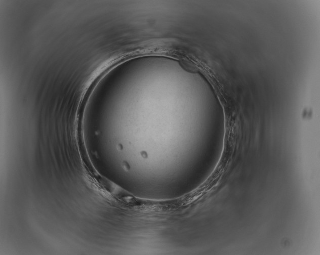 X0000091010100200708021557