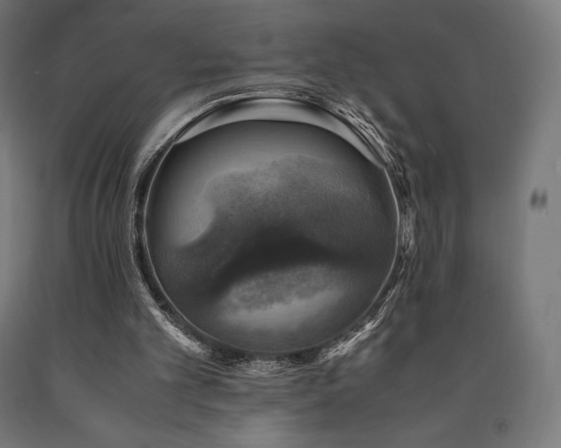 X0000091010101200708021557