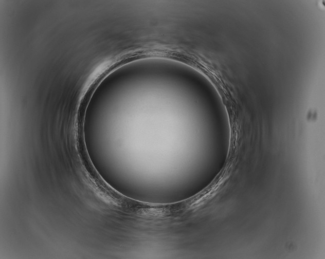 X0000091010102200708021557