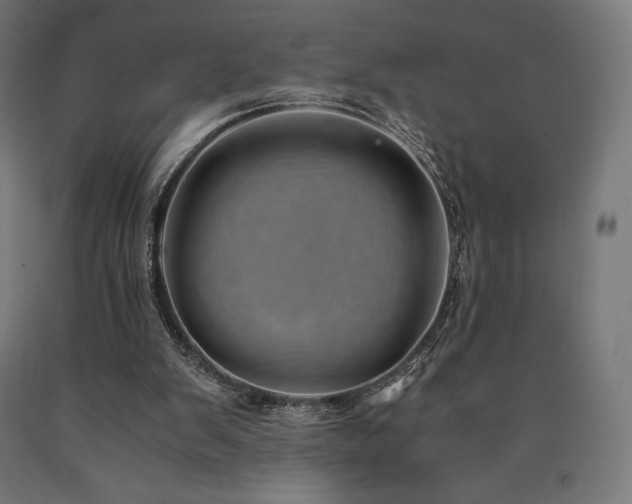 X0000091010103200708021557