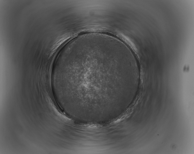X0000091010105200708021557