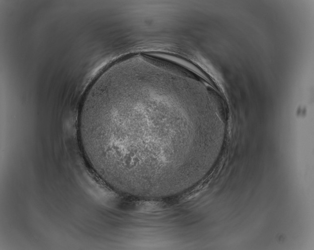 X0000091010107200708021557