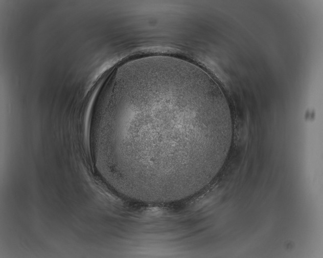 X0000091010111200708021557