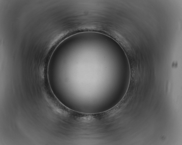 X0000091010112200708021557