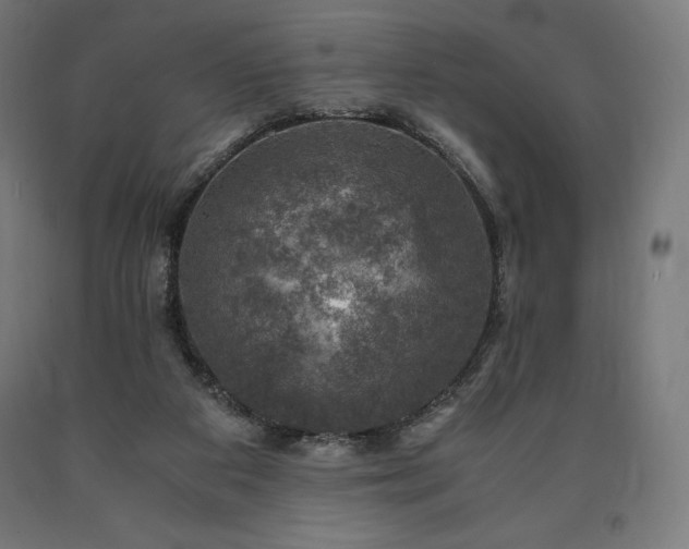 X0000091010113200708021557