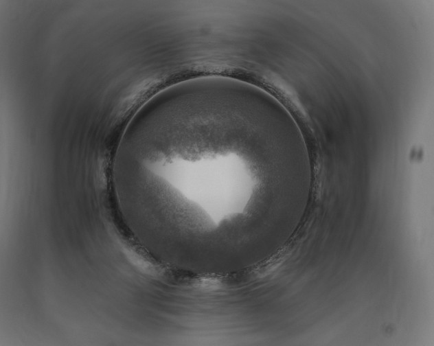 X0000091010114200708021557