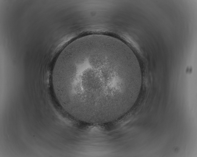 X0000091010115200708021557