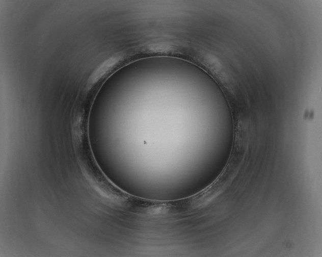 X0000091010116200708021557