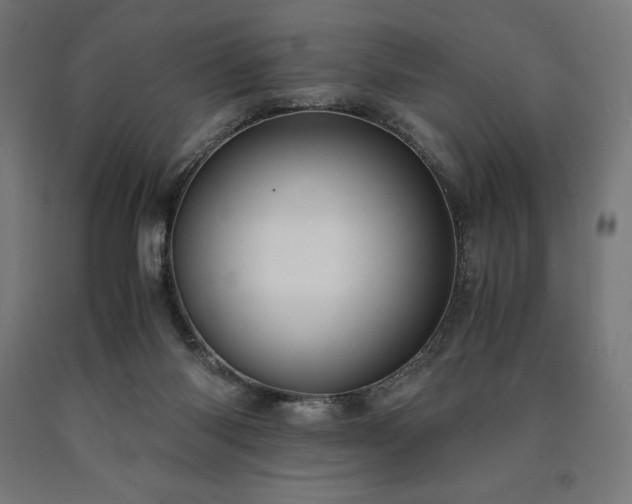 X0000091010118200708021557