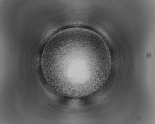 X0000091010119200708021557
