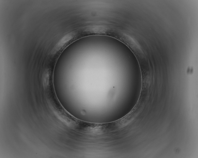 X0000091010120200708021557