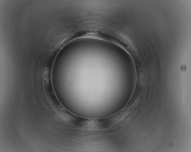 X0000091010121200708021557