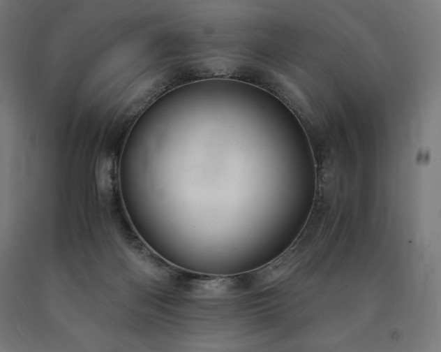 X0000091010122200708021557