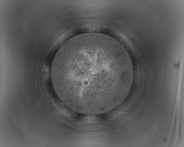 X0000091010123200708021557