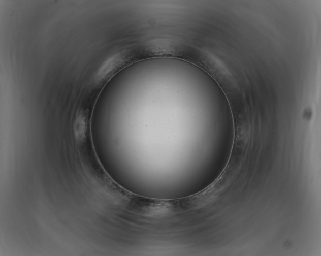 X0000091010124200708021557