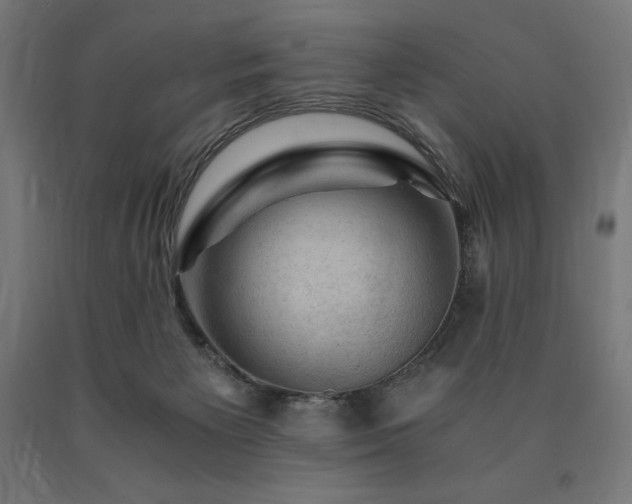 X0000091010125200708021557