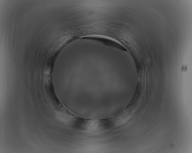 X0000091010127200708021557