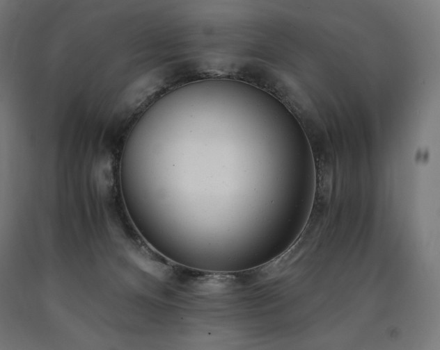 X0000091010128200708021557