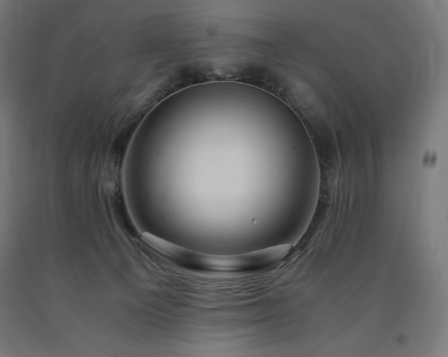 X0000091010129200708021557