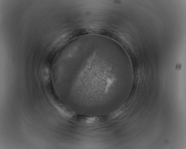 X0000091010130200708021557