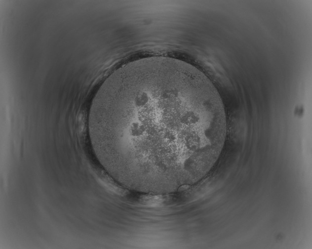 X0000091010131200708021557