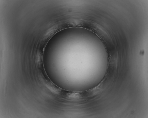 X0000091010132200708021557