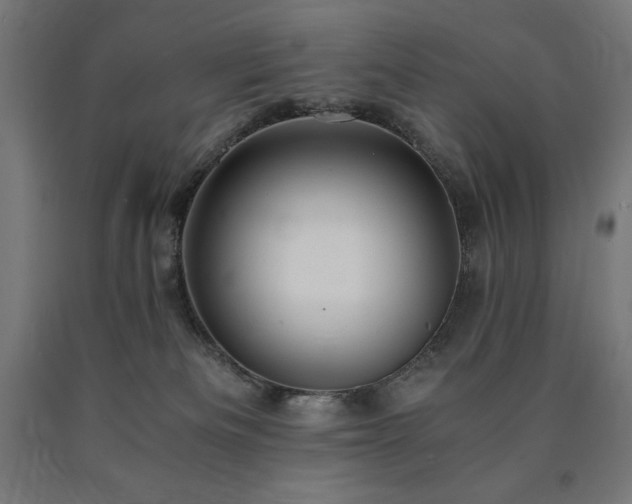 X0000091010133200708021557