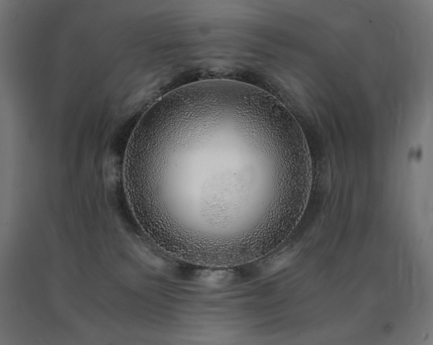 X0000091010135200708021557