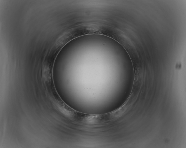 X0000091010136200708021557