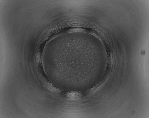X0000091010137200708021557