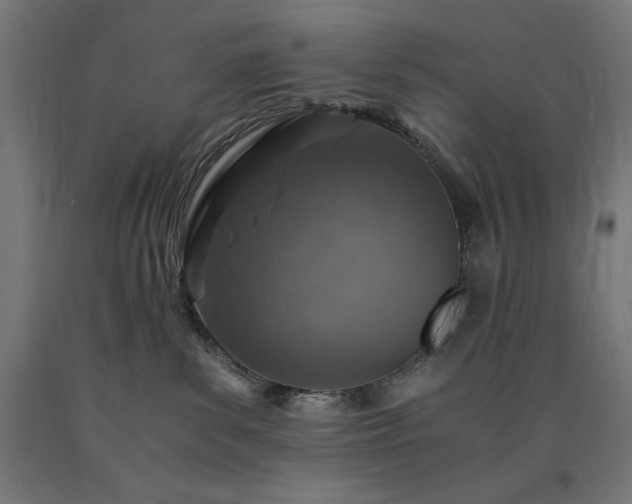X0000091010139200708021557