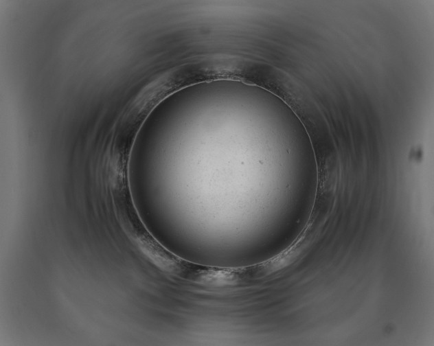 X0000091010140200708021557
