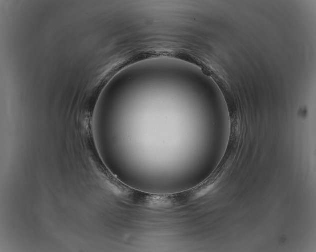 X0000091010141200708021557