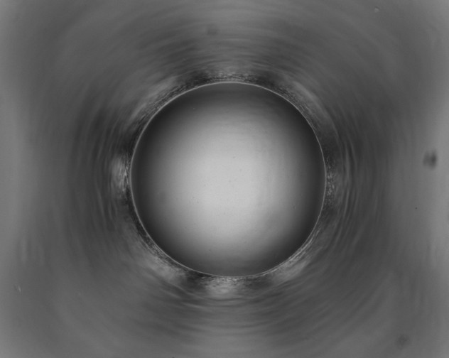 X0000091010142200708021557