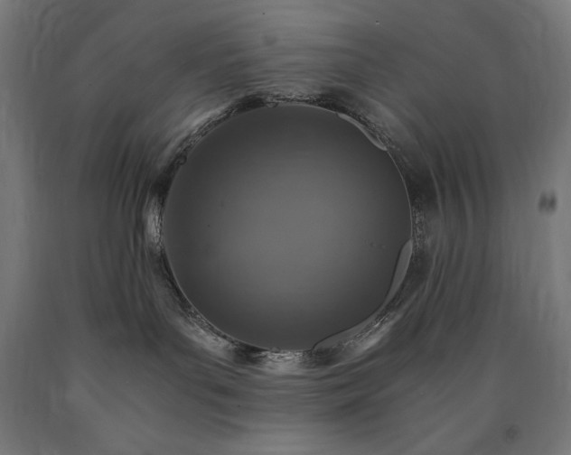 X0000091010143200708021557