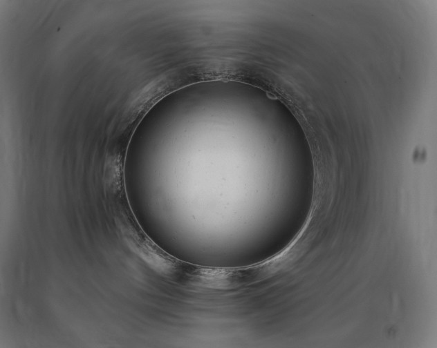 X0000091010144200708021557