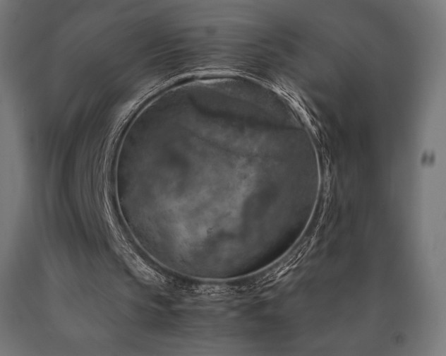 X0000091010145200708021556