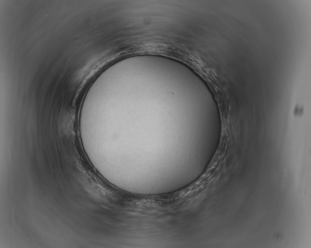 X0000091010146200708021556