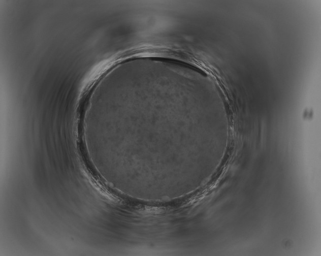 X0000091010149200708021556