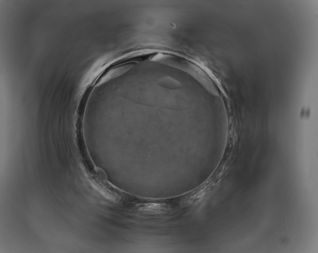 X0000091010151200708021556