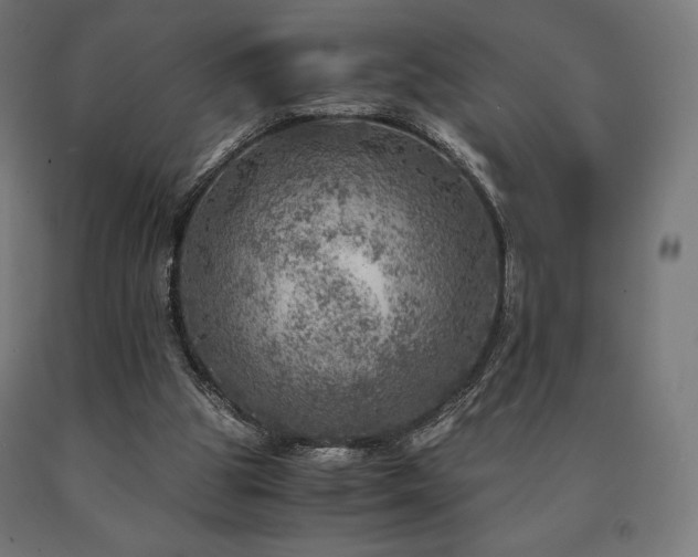 X0000091010153200708021556