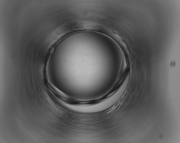 X0000091010154200708021556