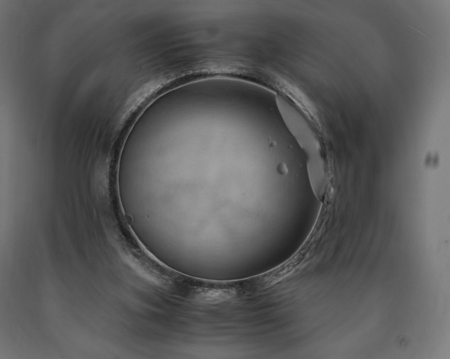X0000091010155200708021556