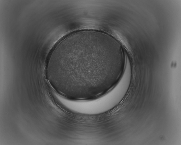 X0000091010156200708021556