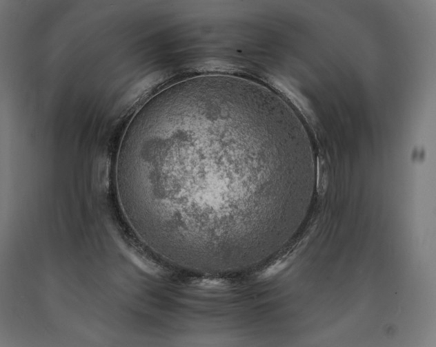 X0000091010157200708021556