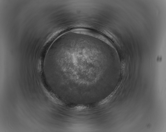 X0000091010158200708021556