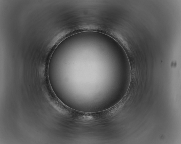 X0000091010159200708021556